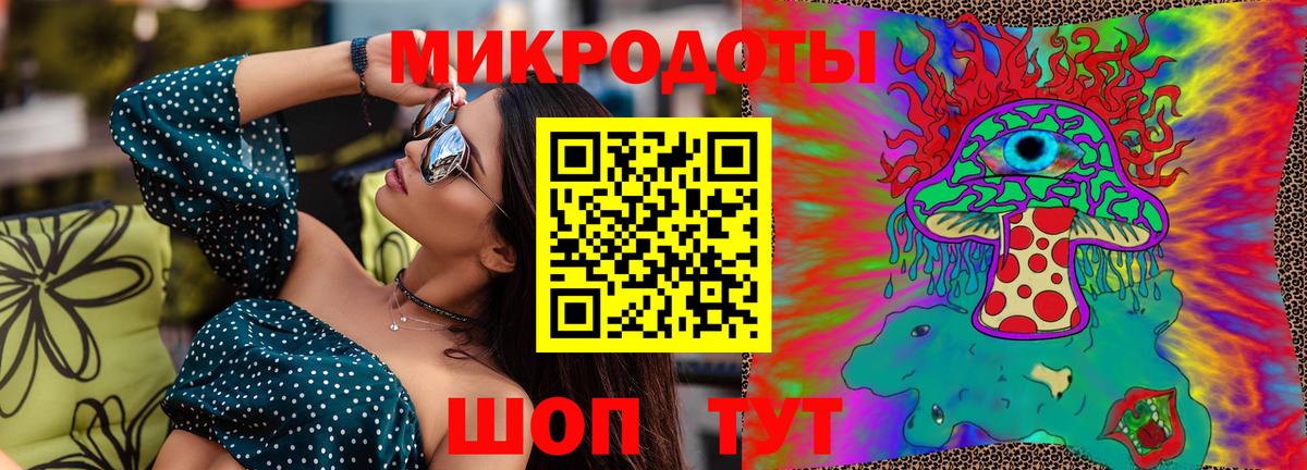 Псилоцибиновые грибы Psilocybine cubensis  Вход с VPN  Великий Новгород 